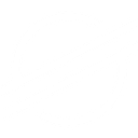 XLM logo